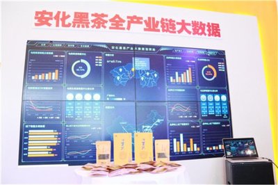高馬二溪亮相全國“雙新雙創”博覽會 大數據賦能國禮茶，探索金融信息服務新路徑